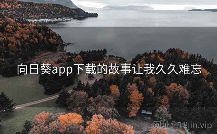 向日葵app下载的故事让我久久难忘  第2张