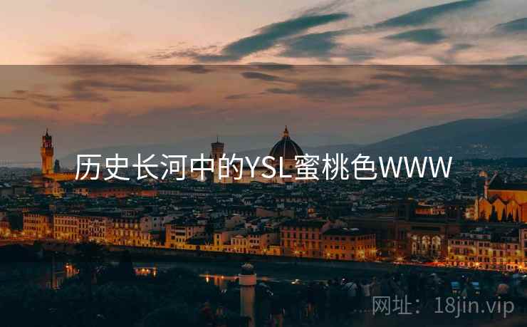 历史长河中的YSL蜜桃色WWW  第2张