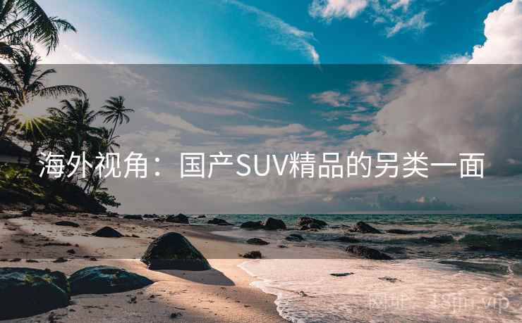 海外视角：国产SUV精品的另类一面  第2张