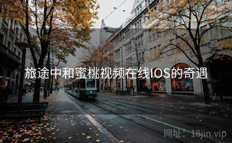 旅途中和蜜桃视频在线IOS的奇遇